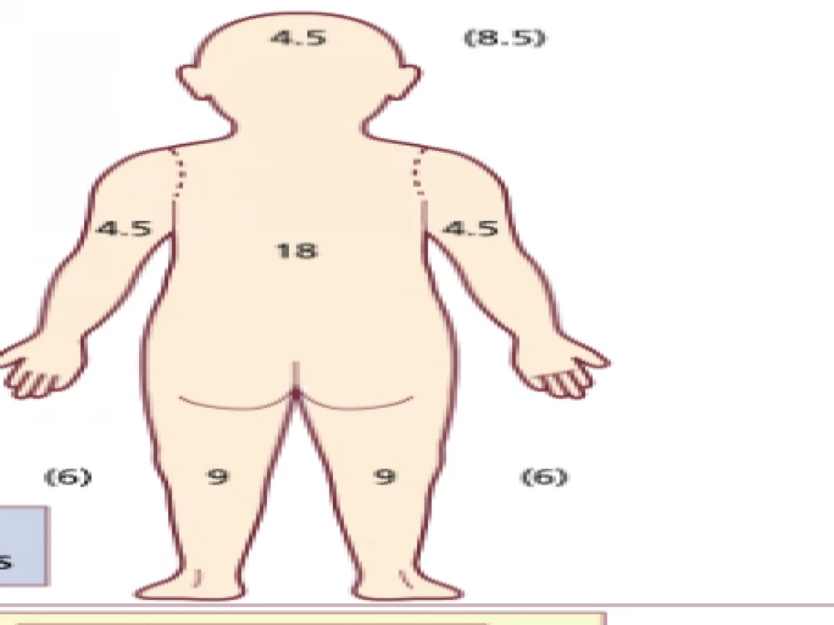 Scorad The Best Measurement Tool For Assessing AD Severity